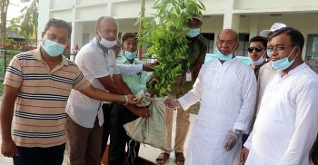 কলাপাড়ায় বৃক্ষ রোপন কর্মসূচির উদ্বোধন