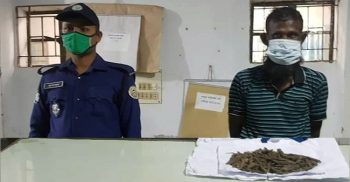 মহিপুরে ১’শ গ্রাম গাঁজাসহ মাদক ব্যবসায়ী আটক