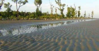 করোনা প্রাদুর্ভাবে নির্জন লাল কাকড়ার সমুদ্র সৈকত রাঙ্গাবালী