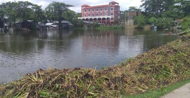 কলাপাড়ায় মধ্য রাতে সরকারী পুকুরের মাছ উধাও