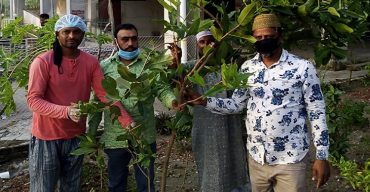 কুয়াকাটা পৌর যুবলীগের উদ্যোগে বৃক্ষ রোপণ কর্মসূচী