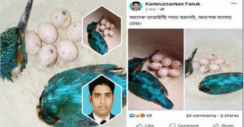 পাখির গলা কেটে ফেসবুকে পোস্ট, ছাত্রদল নেতার বিরুদ্ধে মামলা