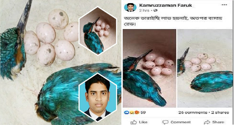 পাখির গলা কেটে ফেসবুকে পোস্ট, ছাত্রদল নেতার বিরুদ্ধে মামলা