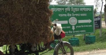 এশিয়ার বৃহত্তম হিসাবে খ্যাত দত্তনগর বীজ ফার্মে এবার আড়াইশো একর জমির ১০লক্ষাধীক টাকার ধানের বিচালী ও খড় গোপনে বিক্রি!