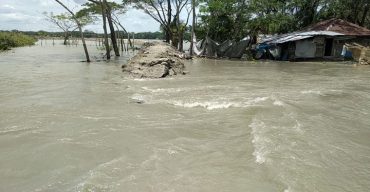 আম্পানে বিধ্বস্ত  শরণখোলায় বগী গ্রাম আবারও জোয়ারের পানিতে প্লাবিত