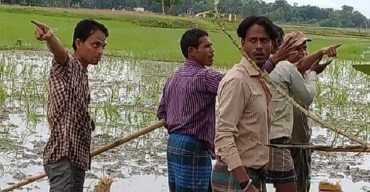 রাজনগরে ধানী জমিতে ট্রাক্টর দিয়ে হালচাষ: মহিলাসহ আহত-৪