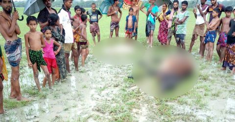 আমতলীতে বজ্রপাতে ৩ গরুর মৃত্যু