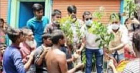 বঙ্গবন্ধুর জন্ম শতবর্ষ উপলক্ষে গলাচিপায় ছাত্রলীগের বৃক্ষরোপন