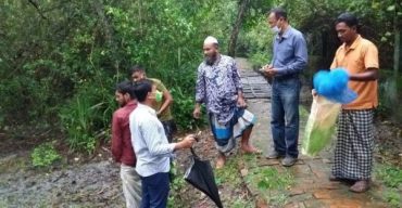 পটুয়াখালি থেকে উদ্ধারকৃত সেই তক্ষক তালতলীর টেংরাগিরি বনে অবমুক্তি