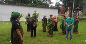 সাপাহারে মুজিব বর্ষ উপলক্ষে  বৃক্ষরোপন অভিযানের উদ্বোধন