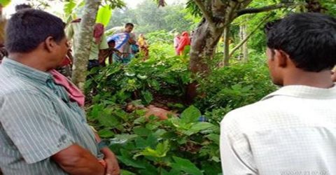 শিশুকে ধর্ষণের পর গাছে ঝুলে ‘ধর্ষকের আত্মহত্যা’