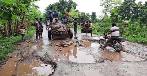রাস্তার পিতা মাতা না থাকায় অবশেষে হরিণাকুণ্ডুতে রাস্তার স্কার শুরু করল শিক্ষার্থীরা!
