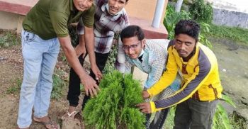 পল্লীবন্ধুর প্রথম মৃত্যু বার্ষিকী উপলক্ষে বৃক্ষরোপন কর্মসূচি হাতে নিয়েছে শার্শা উপজেলা জাতীয় ছাত্র সমাজ কর্মীরা