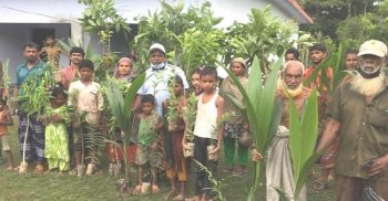 গলাচিপায় বঙ্গবন্ধুর শতবার্ষিকী উপলক্ষ্যে বিভিন্ন গাছের চারা বিতরণ