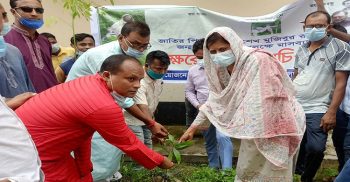 ঝিনাইদহে বঙ্গবন্ধুর জন্মশতবার্ষিকী উপলক্ষে যুবলীগের বৃক্ষরোপন