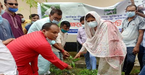 ঝিনাইদহে বঙ্গবন্ধুর জন্মশতবার্ষিকী উপলক্ষে যুবলীগের বৃক্ষরোপন