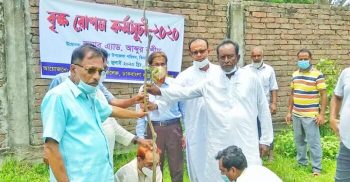 ঝিনাইদহ ডাকবাংলা আব্দুর রউফ ডিগ্রী কলেজে বৃক্ষরোপন কর্মসূচি