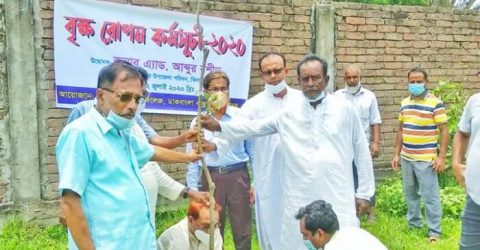 ঝিনাইদহ ডাকবাংলা আব্দুর রউফ ডিগ্রী কলেজে বৃক্ষরোপন কর্মসূচি
