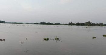 হবিগঞ্জের আজমিরি,বানিয়াচং প্লাবিত বন্যার আশংকা