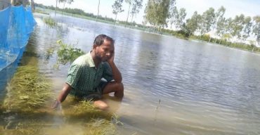 বন্যার পানিতে ভেসে গেছে লাখাইর এক মাছ চাষীর দুই বছরের স্বপ্ন