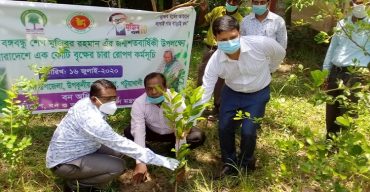 গলাচিপায় প্রধানমন্ত্রীর ঘোষিত চারা রোপণ কর্মসূচির শুভ উদ্বোধন করলেন- শাহিন শাহ্