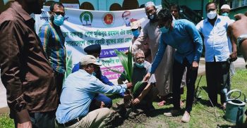 মুজিবুর বর্ষে দশমিনায় বৃক্ষ রোপন উদ্ধোধন