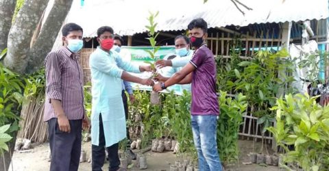 হরিনাকুন্ডুতে সঞ্জয় ট্রাস্টের উদ্যোগে বৃক্ষরোপন ও চারা বিতরণ