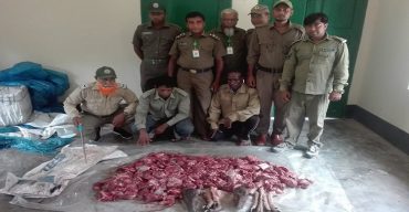 সুন্দরবনের দুটি হরিনের মাথাসহ ৩০ কেজি মাংস উদ্ধার