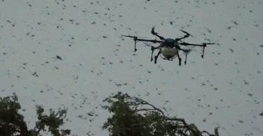 ভারতের রাজধানী দিল্লিতে পঙ্গপাল নিয়ন্ত্রণে ড্রোন ব্যবহার