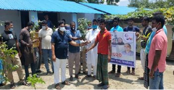 ঝিনাইদহে বঙ্গবন্ধুর জন্মশতবার্ষিকী উপলক্ষে যুবলীগের বৃক্ষরোপন কর্মসূচির উদ্বোধন