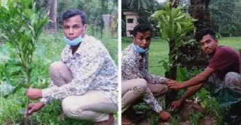 মুজিব বর্ষ উপলক্ষে বৃক্ষরোপন করেছে গলাচিপা উপজেলা ছাত্রলীগ