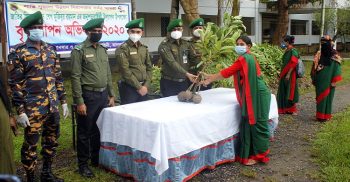 ঝালকাঠিতে আনসারের গাছের চারা বিতরণ