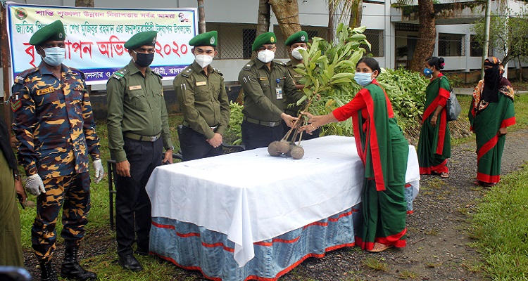 ঝালকাঠিতে আনসারের গাছের চারা বিতরণ
