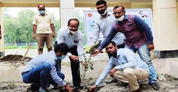 সামাজিক বনায়নের লক্ষ্যে কৃষি বিভাগের শতাধিক বৃক্ষরোপণ রাঙ্গাবালীতে