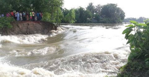 নওগাঁয় আত্রাই ও ছোট যমুনা নদীর বাঁধ ভেঙ্গে ৩টি উপজেলার শতাধিক গ্রাম প্লাবিত