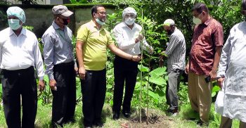 ঝালকাঠিতে মুজিববর্ষ উপলক্ষে বৃক্ষরোপণ কর্মসূচির উদ্ধোধন