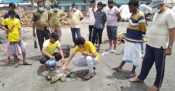 কুয়াকাটায় বালুচরে আটকে পড়া কচ্ছপটি সাগরে অবমুক্ত