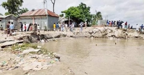 ভেদরগঞ্জের  সখিপুরে আবারও পদ্মার ভাঙন শুরু