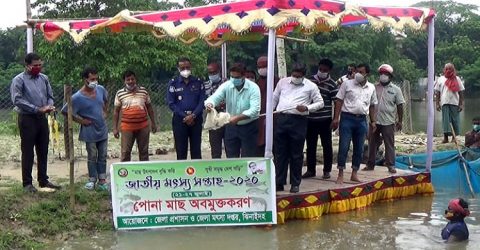 ঝিনাইদহে জাতীয় মৎস্য সপ্তাহ উপলক্ষে পোনা মাছ অবমুক্ত