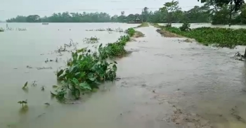 দ্বিতীয় দফায় পানি বাড়ছে সুনামগঞ্জের নিম্নাঞ্চলে
