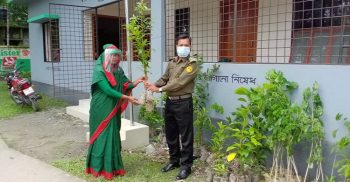 গলাচিপায় বঙ্গবন্ধুর শতবার্ষিকী উপলক্ষ্যে আনসার-ভিডিপির গাছের চারা বিতরণ