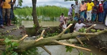 তীব্র স্রোতে মুন্সীগঞ্জের দিঘিরপাড়-হাসাইল সড়কের একাংশ বিলীন