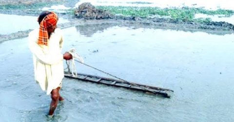 গলাচিপায় বীজতলা তৈরিতে ব্যস্ত সময় পার করছে কৃষক