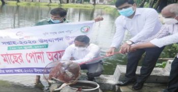 গলাচিপায় মৎস্য সপ্তাহে মাছের পোনা অপমুক্ত
