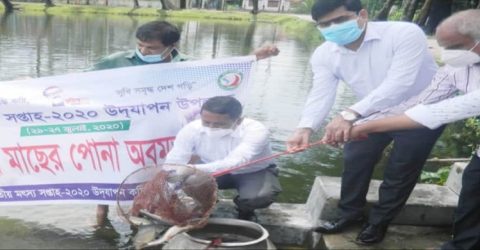 গলাচিপায় মৎস্য সপ্তাহে মাছের পোনা অপমুক্ত