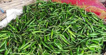 বাগেরহাটে ৬০টাকার কাঁচামরিচ ২০০টাকা!