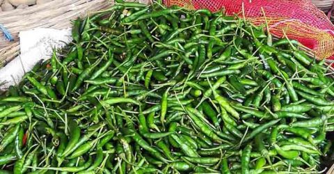 বাগেরহাটে ৬০টাকার কাঁচামরিচ ২০০টাকা!