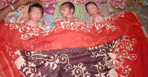 মানিকগঞ্জে একসাথে তিন সন্তান জন্ম দিলেন এক মা