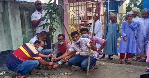 মহিপুরে যুবলীগের উদ্যোগে বৃক্ষরোপণ