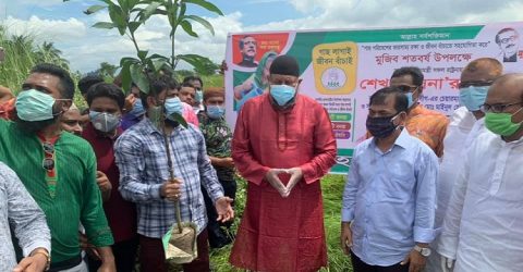 মুজিবশর্ত বর্ষ উপলক্ষে প্রধানমন্ত্রীর ঘোষিত মাসব্যাপী বৃক্ষ-রোপন কর্মসূচি